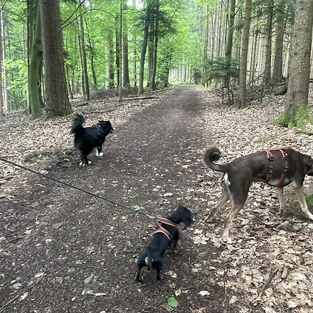 Appartamento Morgensonne