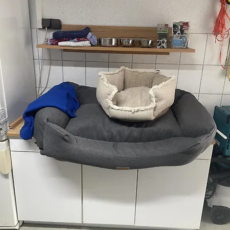 Morgensonne Apartment Gutach im Breisgau
