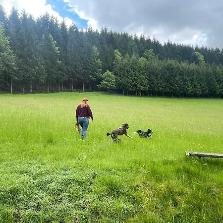 Morgensonne Gutach im Breisgau