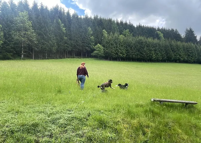 Morgensonne Lejlighed *